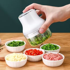 Electric Garlic/Vegetable Masher, Chopper, Mincer (Color: White)